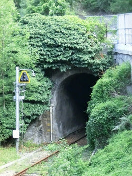 Tunnel de Champrotard