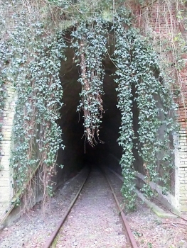 Tunnel Chioso