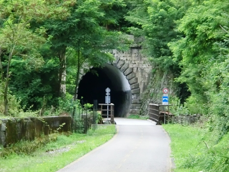 Rio Lavaz Bridge and Chiout Martin Tunnel southern portal