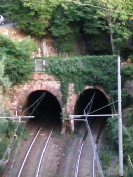 Tunnel de Cicchero