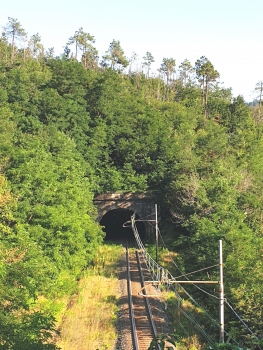 Cimalevigne Tunnel northern portal