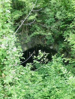 Coccau Grande Tunnel western portal