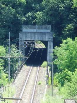 Tunnel de Coda