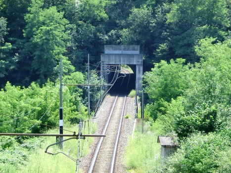 Coda Tunnel northern portal