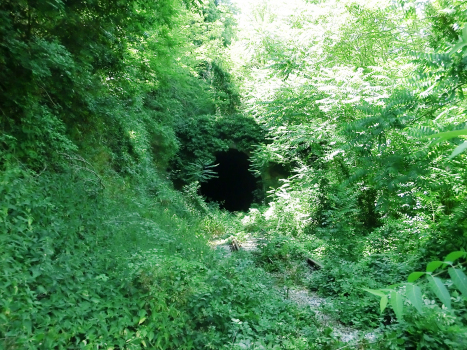 Colcanino Tunnel eastern portal