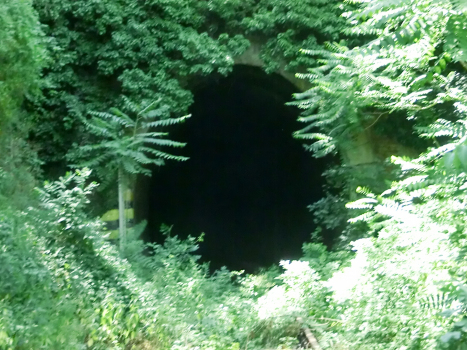 Colcanino Tunnel eastern portal