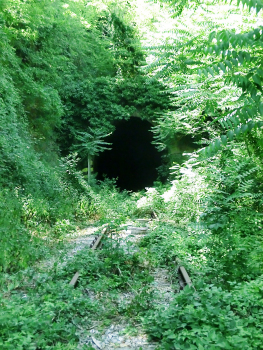 Tunnel de Colcanino