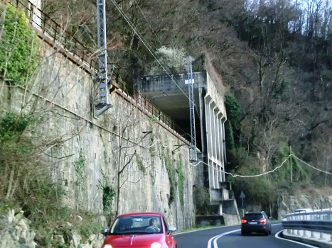 Tunnel Colmegna