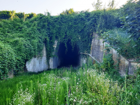 Tunnel de Como