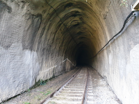 Tunnel de Como