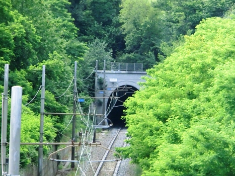 Cosseria Tunnel southern portal