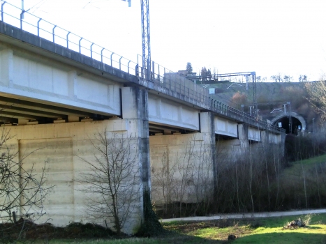 Eisenbahnbrücke Crepacuore