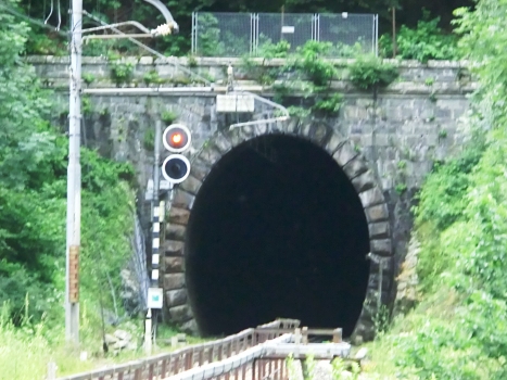 Cresta Molino Tunnel northern portal