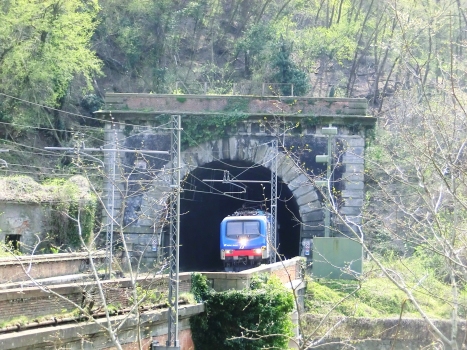 Creverina Tunnel northern portal