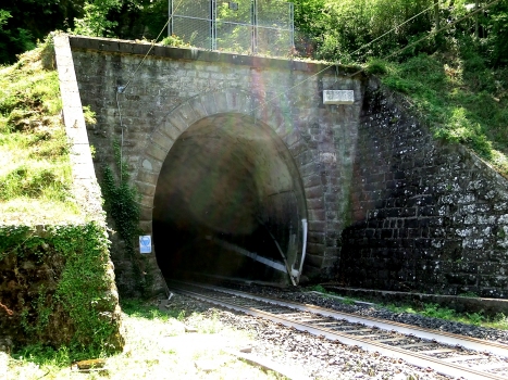 Cugna Tunnel northern portal