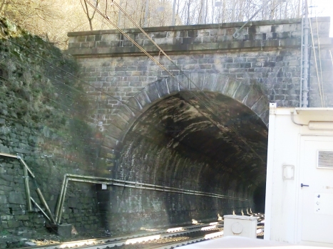 Della Masone Tunnel northern portal