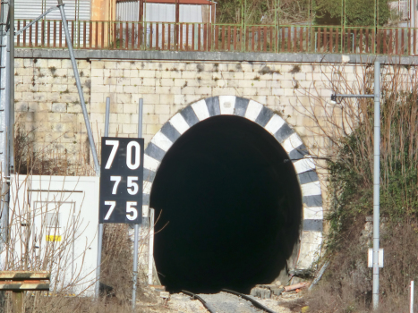 Tunnel de Del Monte