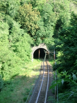 Del Paese Tunnel northern portal