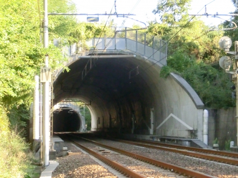Del Pino Tunnel northern portal; in the back, Monterosso Tunnel northern portal