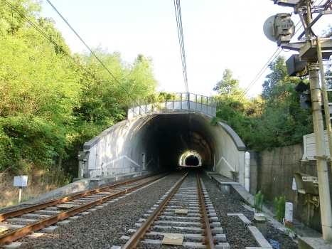 Del Pino Tunnel northern portal; in the back, Monterosso Tunnel northern portal