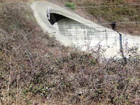 Del Poggio Tunnel eastern portal