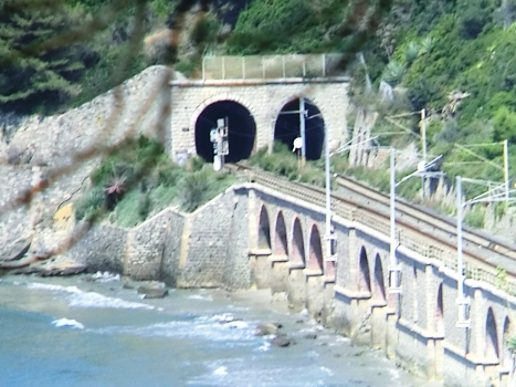 De Mari South Tunnel (on the left) and De Mari North Tunnel eastern portals