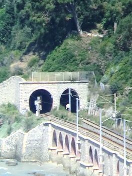 De Mari South Tunnel (on the left) and De Mari North Tunnel eastern portals