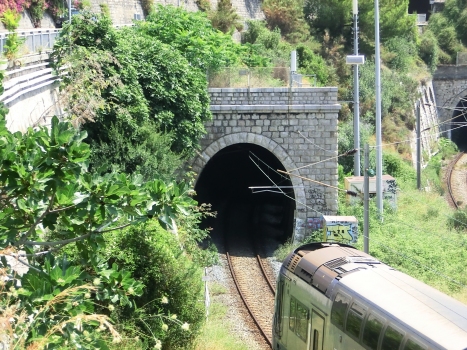 Dogana North Tunnel western portal