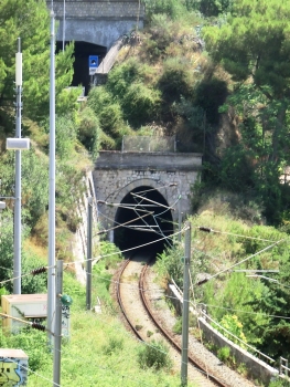 Dogana South Tunnel western portal