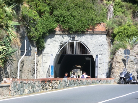 Dufou Tunnel western portal