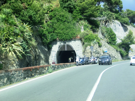 Tunnel de Dufou