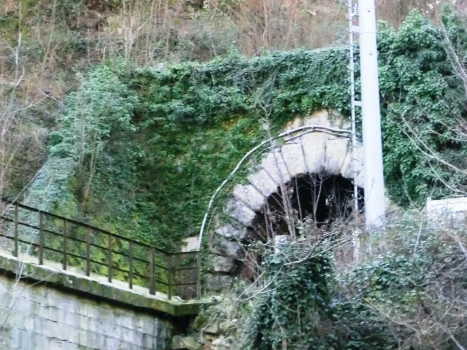 Fantino Tunnel northern portal