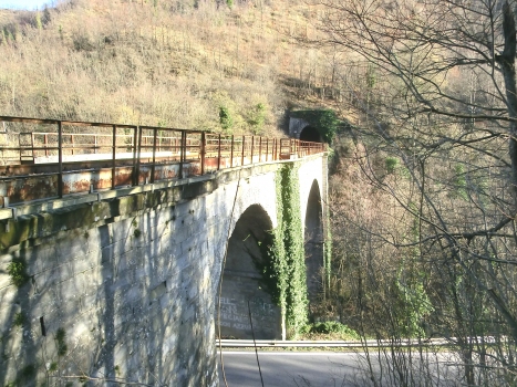 Lamone IV Bridge and Fantino Tunnel southern portal