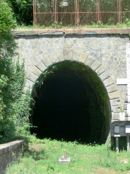 Fermata Tunnel portal