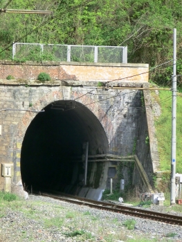 Fornola 1 South Tunnel western portal