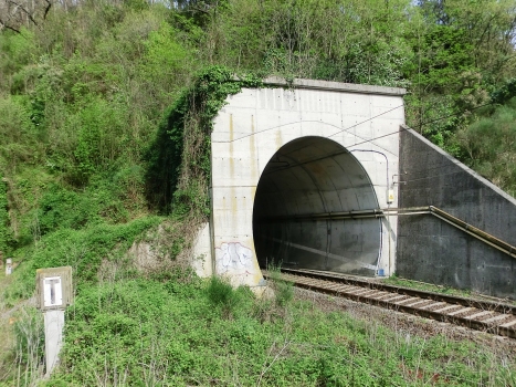 Tunnel Fornola 2 binario dispari