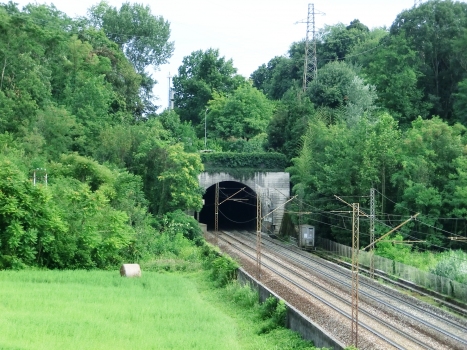 Gardiana Tunnel northern portal