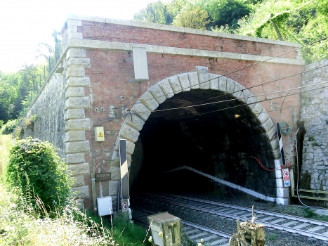 Giacoboni Tunnel northern portal