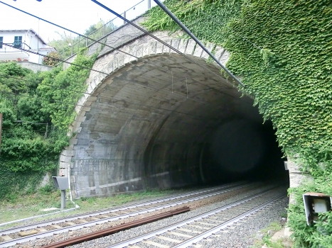 Gioia Tunnel western portal