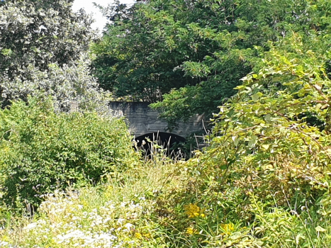 Tunnel de Incisa