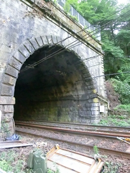 Lanza Tunnel northern portal