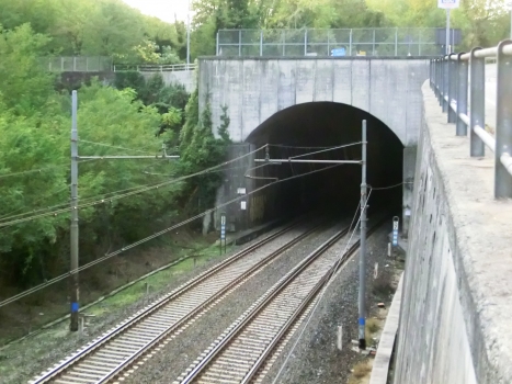 La Rotta Tunnel eastern portal