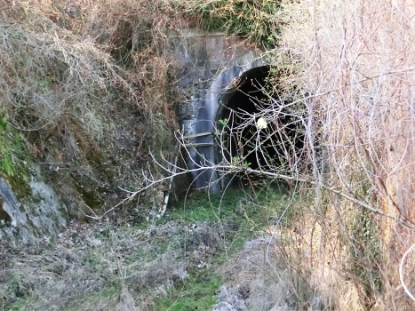 Tunnel de Lauriano