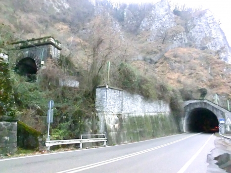 Laveno Tunnel (on the left) and Sasso Galletto Tunnel northern portals