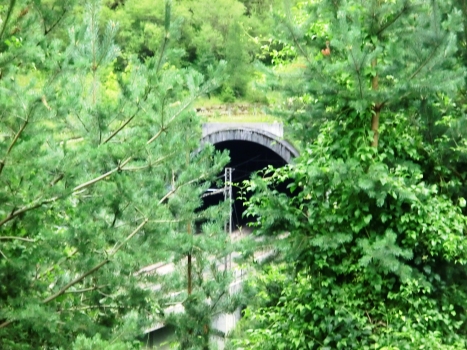 Leila Tunnel northern portal