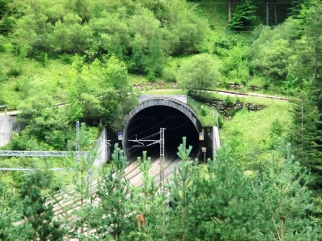 Leila Tunnel northern portal