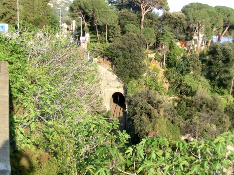 Tunnel Ligia 2