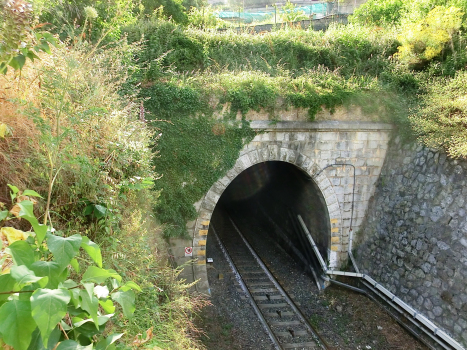 Madonna Tunnel eastern portal