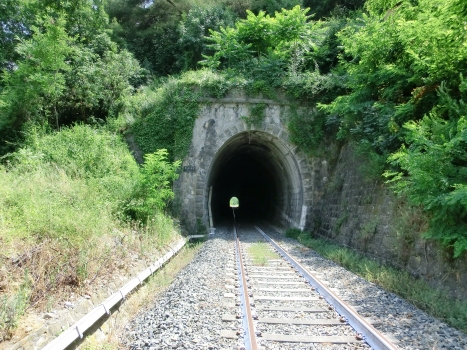 Maneira Tunnel northern portal