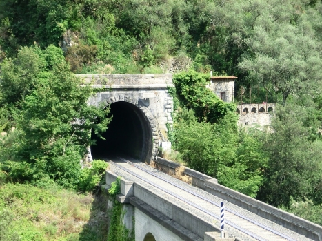 Tunnel Mantigi